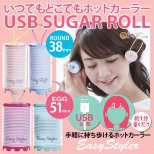 ホットカーラー カーラー ヘアカーラー イージースタイラー