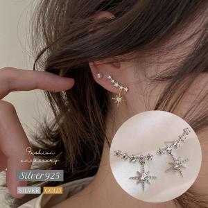 ピアス 星 スター ロック サージカルステンレス フックピアス 送料無料