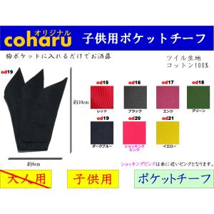 ポケットチーフ ハンカチーフ 3 子供用 キッズ