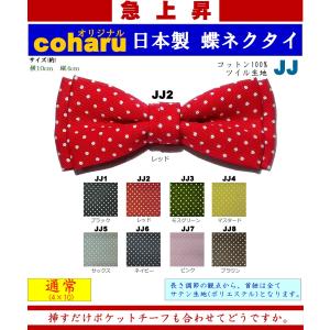 蝶ネクタイ ボウタイ bowtie メンズ 子供 キッズ