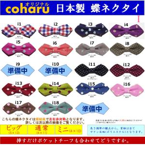 蝶ネクタイ ボウタイ bowtie メンズ 子供 キッズ