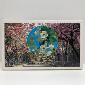 桜の通り抜け 平成8年 貨幣セット 一葉（1996年）純銀 メダル入り 記念