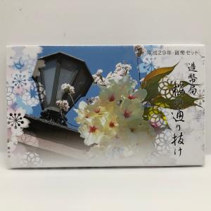 桜の通り抜け 平成21年 貨幣セット 平野撫子（2009年） 純銀 メダル