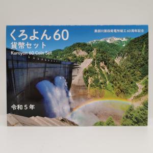 桜の通り抜け 平成8年 貨幣セット 一葉（1996年）純銀 メダル入り 記念