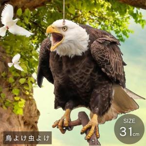 リアルイーグル 鷹 鷲 タカ ワシ 置物 大迫力 効果絶大 30cm 鳥よけ