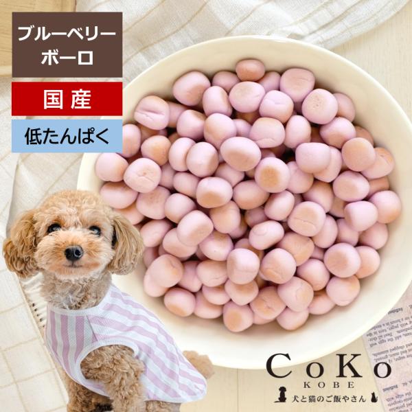 CoKoオリジナル 犬おやつ 国産 ブルーベリーボーロ (90g) Blueberry bolo f...