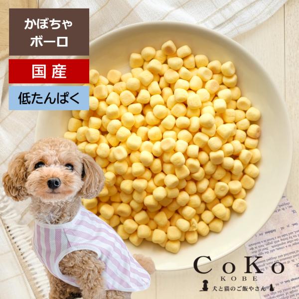 CoKoオリジナル 犬おやつ 無添加 国産 かぼちゃボーロ (90g) Squash bolo fo...