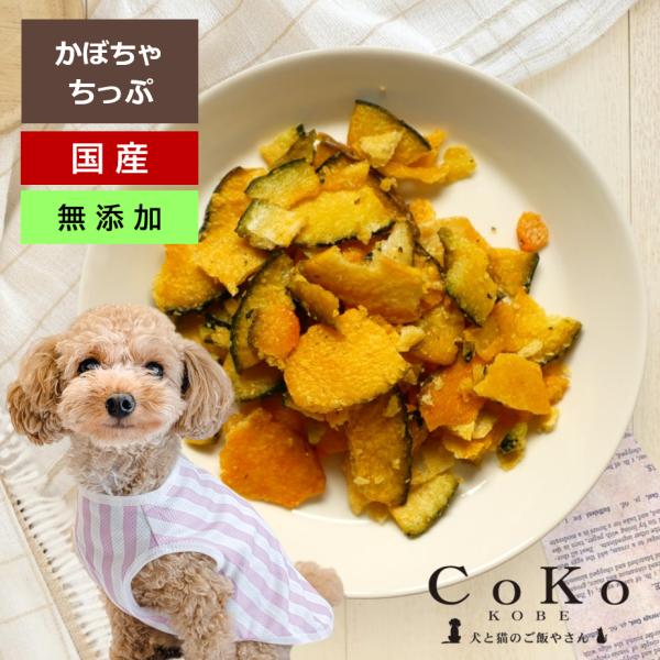 CoKoオリジナル 犬おやつ 無添加 国産 かぼちゃちっぷ (55g) Squash chip fo...