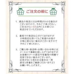 Nintendo Switch 本体 ディスプ...の詳細画像1