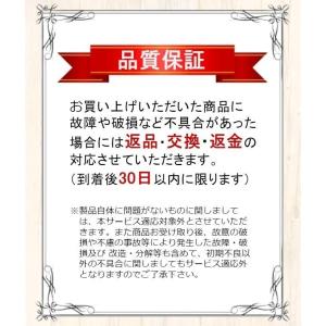 Nintendo Switch 本体 ディスプ...の詳細画像2