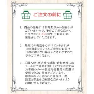 【レビューキャンペーン実施中】NEOGEO m...の詳細画像2
