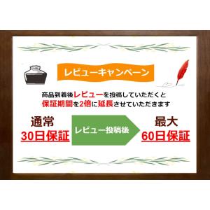 【レビューキャンペーン実施中!】Nintend...の詳細画像1