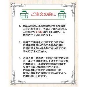 DSLite DSライト 本体 ニンテンドーD...の詳細画像3