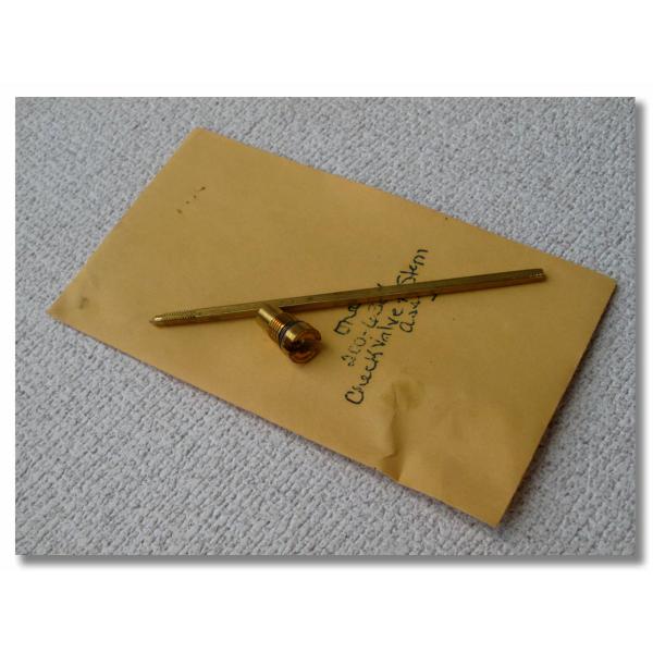 Coleman コールマン チェックバルブ ＆ ステム 標準 2006381ZCL 200 200A...