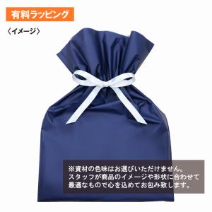 CASIO カシオ G-SHOCK ジーショッ...の詳細画像4