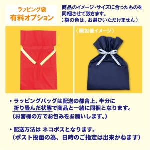 CASIO カシオ 腕時計 チプカシ LQ-1...の詳細画像3