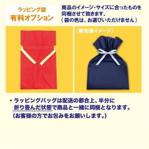 CASIO チープカシオ チプカシ LRW-2...の詳細画像3