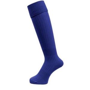 サッカーストッキング　無地　オリジナル　ＺＦＳ1000-2300ブルー 　　　ネコポス可　要確認