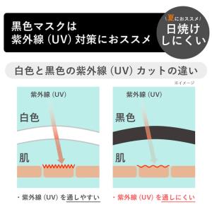 マスク 不織布 立体マスク 日本製 個包装 I...の詳細画像5