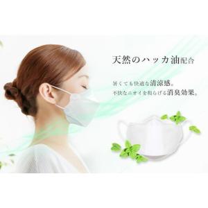 Victorian Mask ミントの香り L...の詳細画像1
