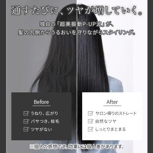【正規販売店】P-UP XTERRA CHEM...の詳細画像3