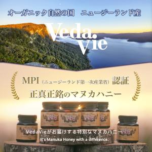お中元 マヌカハニー 蜂蜜 はちみつ ニュージ...の詳細画像1