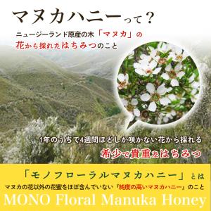 お中元 マヌカハニー 蜂蜜 はちみつ ニュージ...の詳細画像5