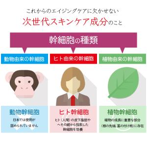 ヒト幹細胞 美容液 培養液 スキンケア 20m...の詳細画像4