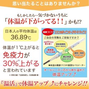 お中元 ジンジャーペースト 冷えケア 240g...の詳細画像2
