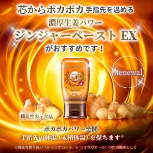 お中元 ジンジャーペースト 冷えケア 240g...の詳細画像3