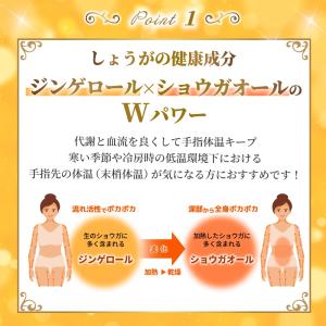 お中元 ジンジャーペースト 冷えケア 240g...の詳細画像5