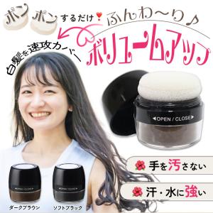 白髪隠し 薄毛隠し パウダー 白髪染め 頭皮・...の詳細画像1