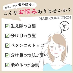 白髪隠し 薄毛隠し パウダー 白髪染め 頭皮・...の詳細画像2
