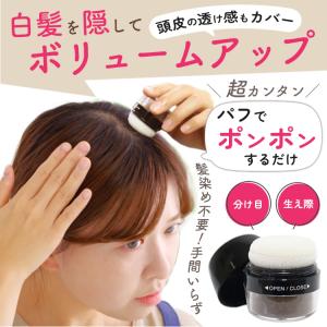 白髪隠し 薄毛隠し パウダー 白髪染め 頭皮・...の詳細画像3