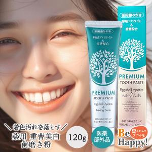 QUALIA クオリア 水素+ケイ素発生 セラミック AQUA SEED+ONE アクア