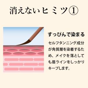 アイブロウ落ちない 消えない 眉ティント 2色...の詳細画像3