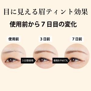 アイブロウ落ちない 消えない 眉ティント 2色...の詳細画像5