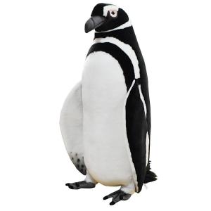 ハンサ【HANSA】ぬいぐるみ 皇帝ペンギン40cm コウテイペンギン