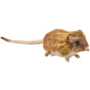 ハンサ【HANSA】ぬいぐるみ ラーテル 世界一の怖いもの知らず