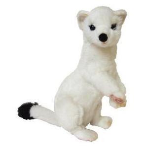 可愛いオコジョて栗のロースツール