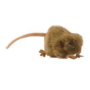 Hansa ハンサ チャイロネズミ 5577 リアル 動物 ぬいぐるみ プレゼント ギフト 母の日 父の日 5577 Dear Bear 通販 Yahoo ショッピング