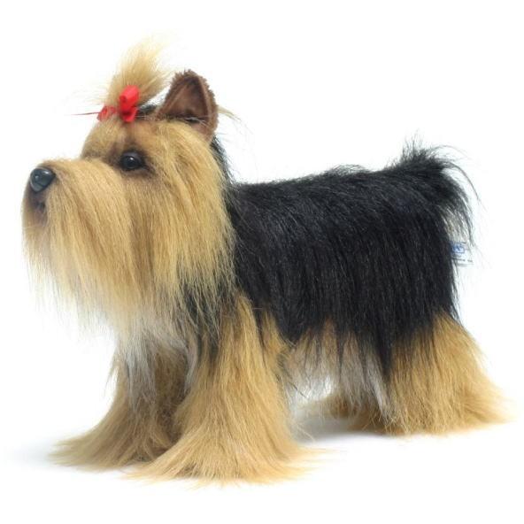 ハンサ【ＨＡＮＳＡ】ぬいぐるみ ヨークシャーテリア36cm リアルアニマル オーストラリア ブランド...