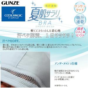 ブラジャー ノンワイヤー 夏 レディース グン...の詳細画像1