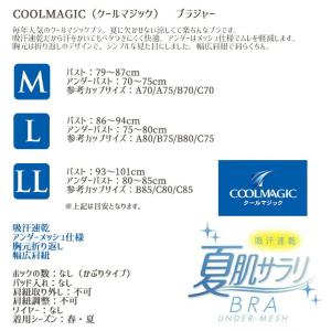 ブラジャー ノンワイヤー 夏 レディース グン...の詳細画像5