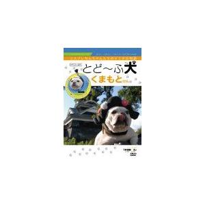 (DVD) とどーふ犬 くまもとけん (2009) 教養 (管理：180693)の商品画像