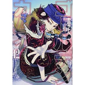 (青年B6コミック)ゴールデンカムイ 12(ヤン...の商品画像