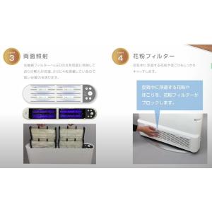 (株)スイデン カルテック光触媒除菌・脱臭機 ...の詳細画像3