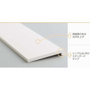 フクビ化学工業UB枠URタイプ開き戸用3方枠セット(縦枠D165xH2220