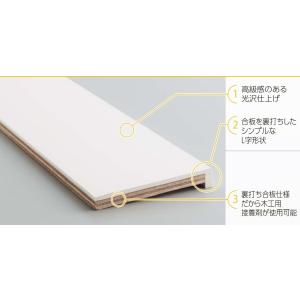 【枠出品】三共　フリーダム枠 樹脂枠 三方枠ムクタイプ【開口800mm・高さ2200mm】SW-8003M24