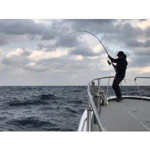 MCワークス DAZZLER 862LF SPECIAL MODEL : fishing shop Colony